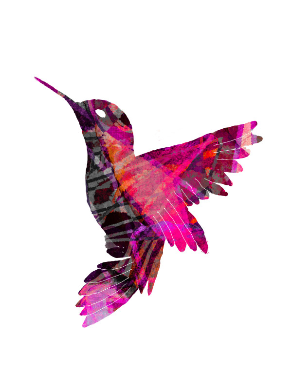 Hummingbird 3 by Eileen Backman