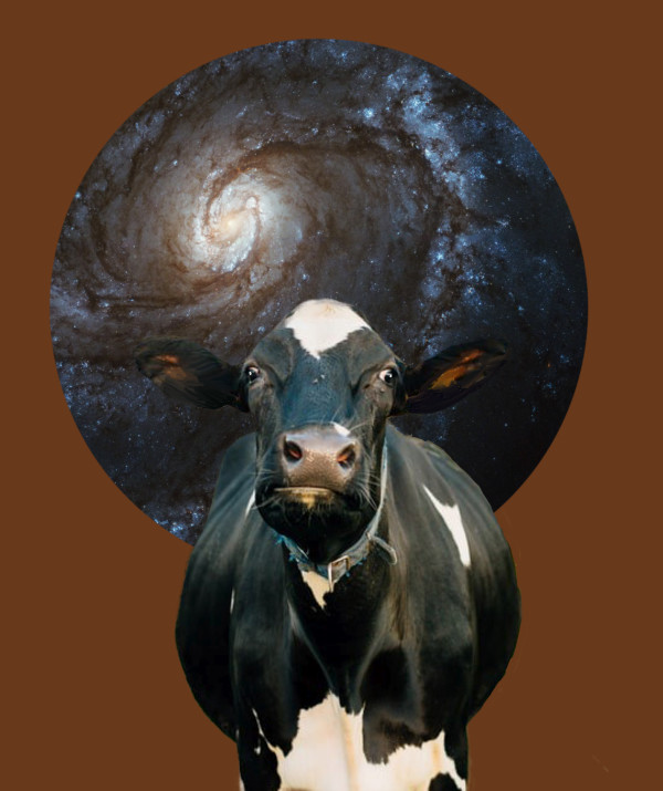 Galaxy Cow 1 by Eileen Backman