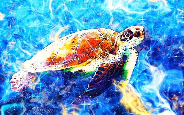 Sea Turtle by Eileen Backman