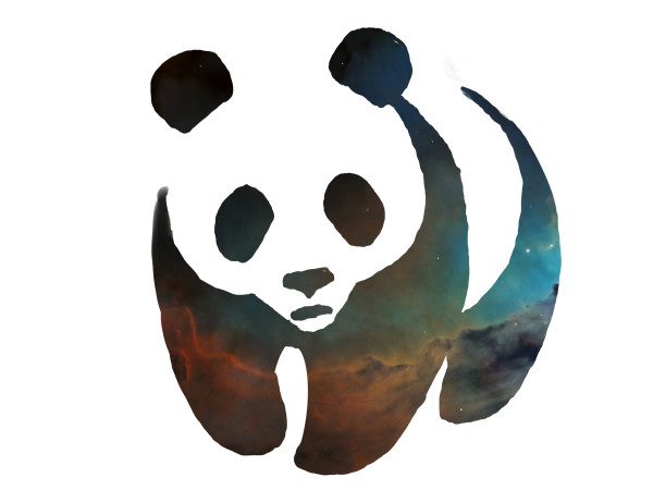 Panda 1 by Eileen Backman