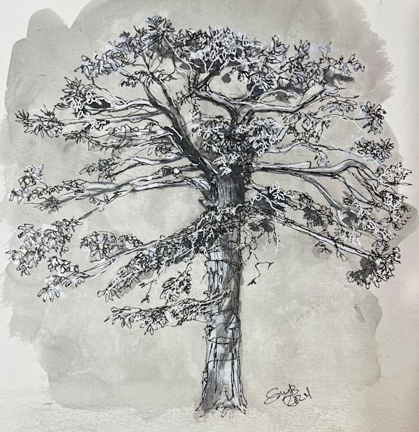Tree at David Davis Mansion by Eileen Backman