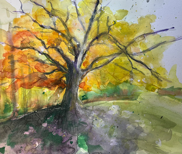 Grand Tree on Grandview Ave by Eileen Backman