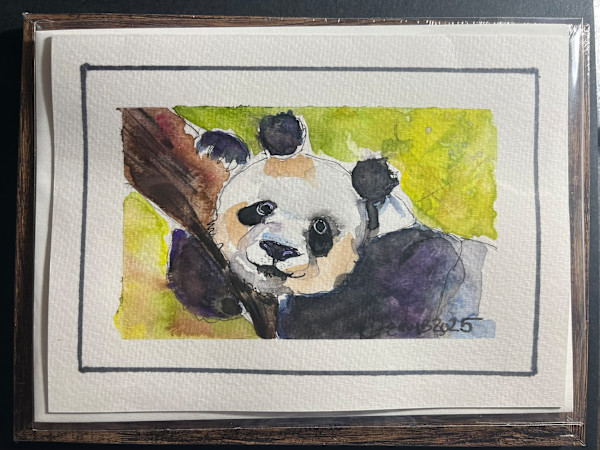 Panda (Greeting Card and Frame) by Eileen Backman
