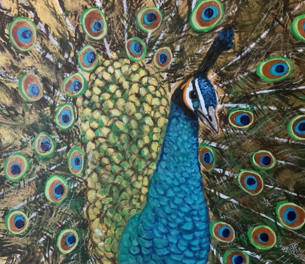 Peacock Proud by Eileen Backman