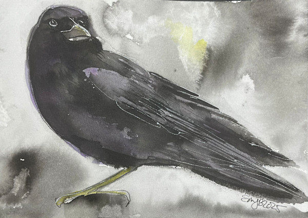 Just A Crow by Eileen Backman