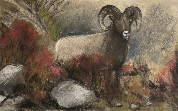 Mountain Ram by Eileen Backman