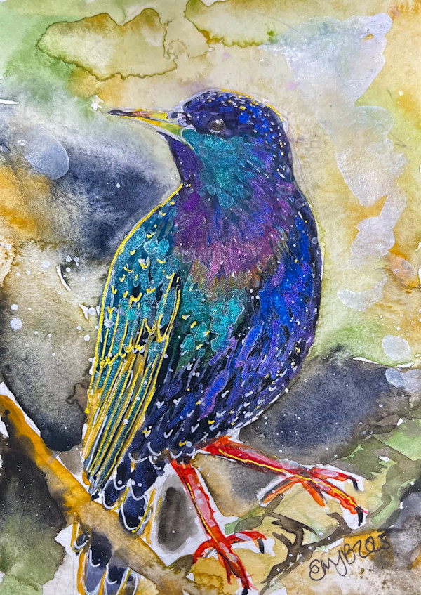 Starling Shimmer by Eileen Backman