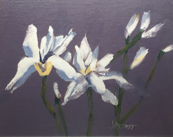 Iris by Joan Vienot