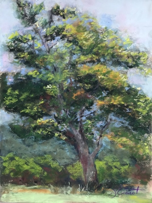 The Thinking Tree by Joan Vienot