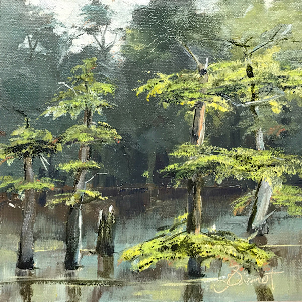 Morrison Springs Cypress by Joan Vienot, Image 1.