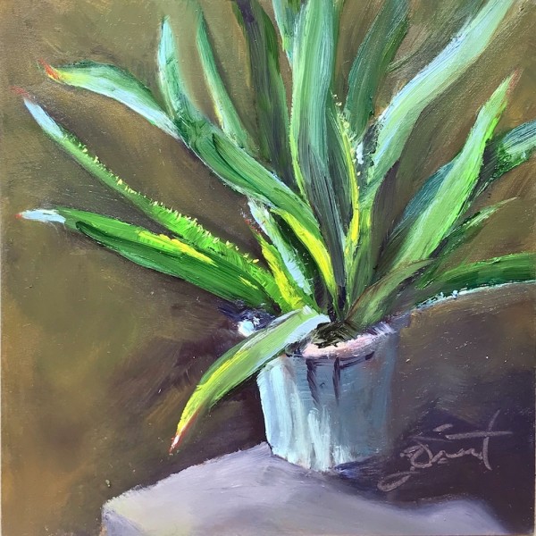 Aloe by Joan Vienot