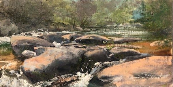 Stanley Rapids by Joan Vienot