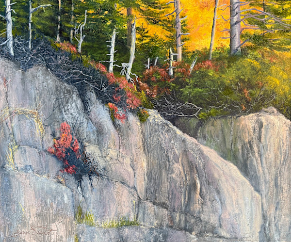 Autumn Light Behind Hunters Beach Cliff by Joan Vienot