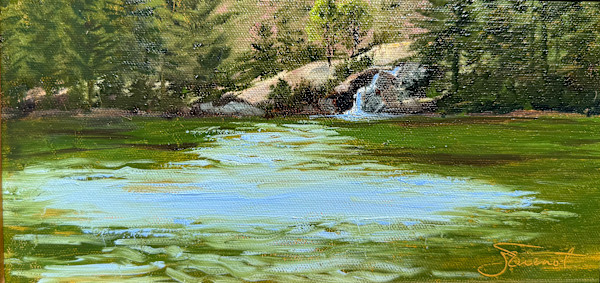 Tidal Falls Cove by Joan Vienot