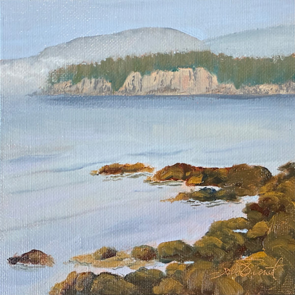 Fog Lifting Behind the Island by Joan Vienot