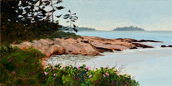 Rock and Roses by Joan Vienot