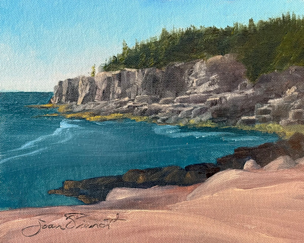 Otter Cliffs, Mid-August by Joan Vienot