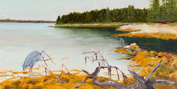 Suminsby Wild by Joan Vienot