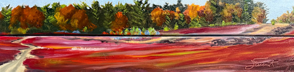 Blueberry Barren Autumn by Joan Vienot