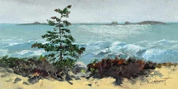 Stunted Pine, Blueberry Hill by Joan Vienot