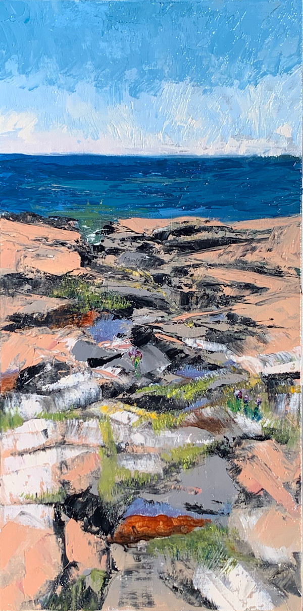 Ecosystem in Granite by Joan Vienot