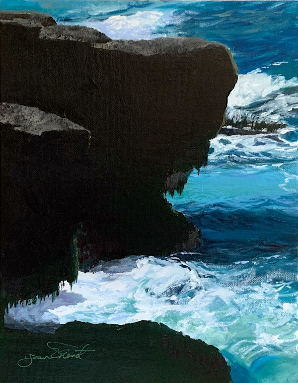 Schoodic Low Tide by Joan Vienot