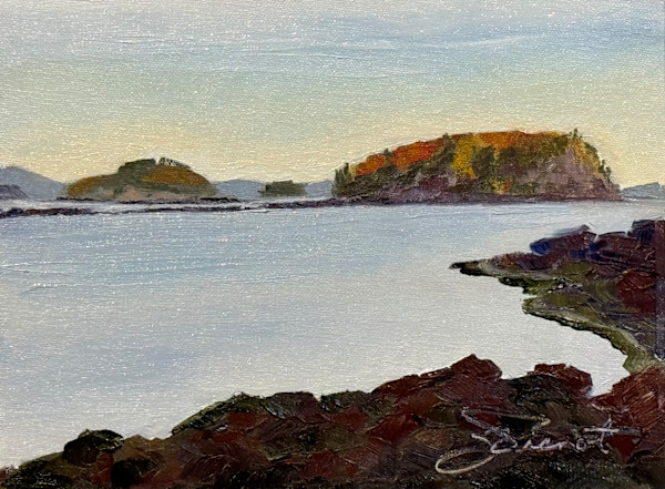 View of Bald Porcupine and Porcupine Dry Ledge from Compass Harbor by Joan Vienot