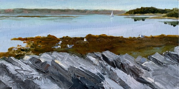 Intertidal Calm by Joan Vienot