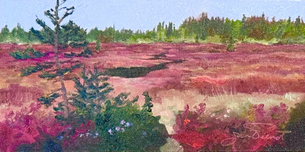 Cranberry Bog by Joan Vienot