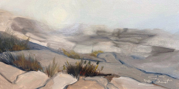 Fog at Schoodic Point by Joan Vienot