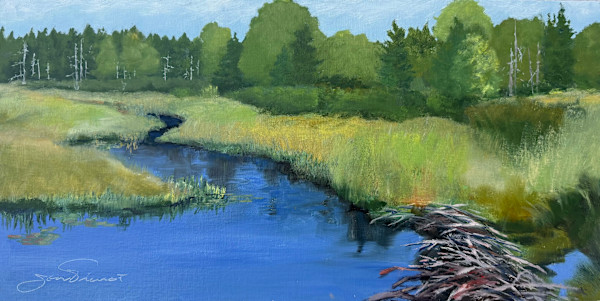 Beaver Dam by Joan Vienot