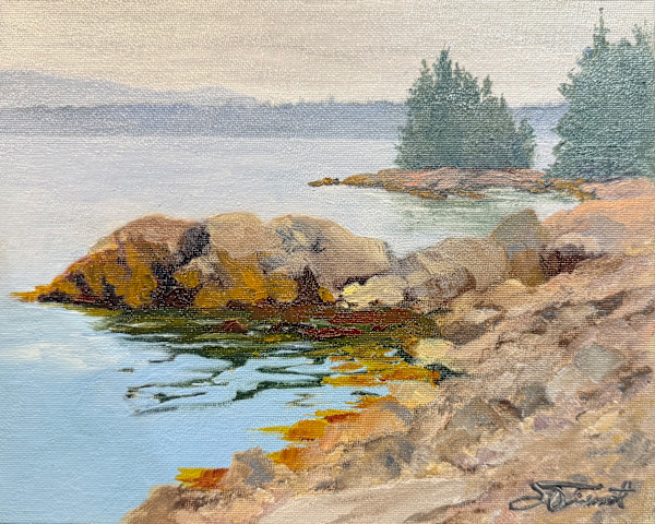 Ironbound and MDI from Winter Harbor by Joan Vienot