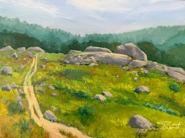 Salt Pond Blueberry Barrens 🔴 by Joan Vienot