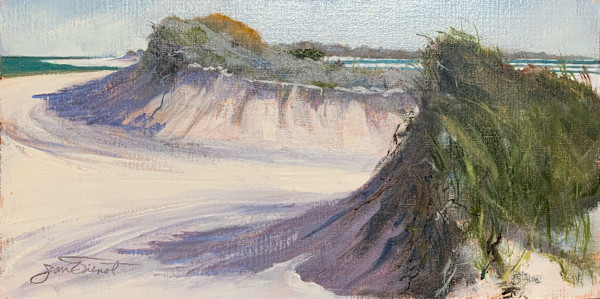 The Cut in the Dunes by Joan Vienot