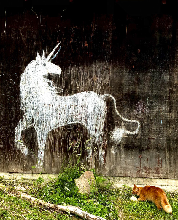 Unicorn Meets Cat (Fairhaven, WA) by Deborah Bassett