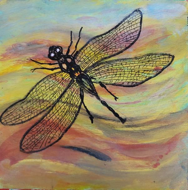 Dragonfly 1 by Rhondda MacKay