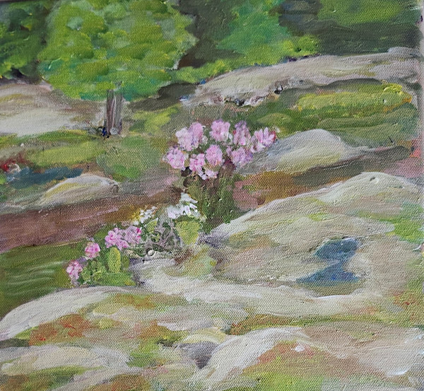 Beauty amid the rocks by Rhondda MacKay