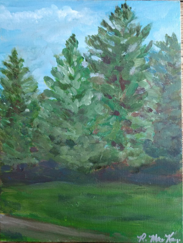Rockcliffe Park Pines