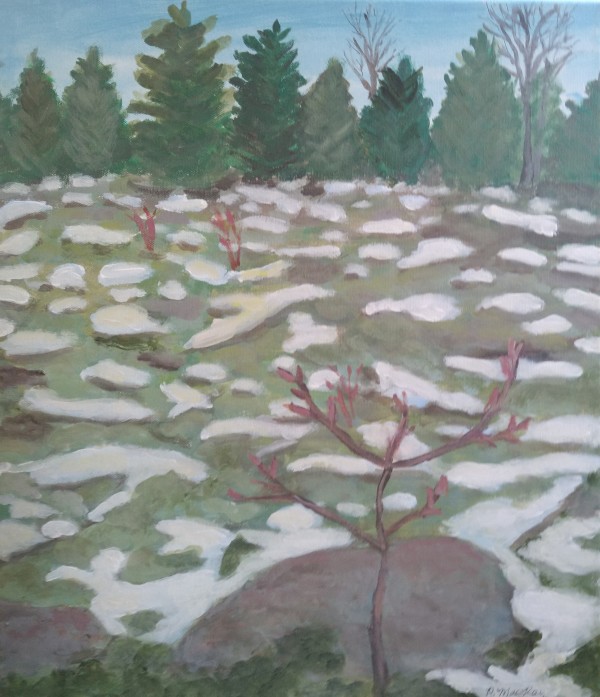 Snow on moss: Carp Ridge