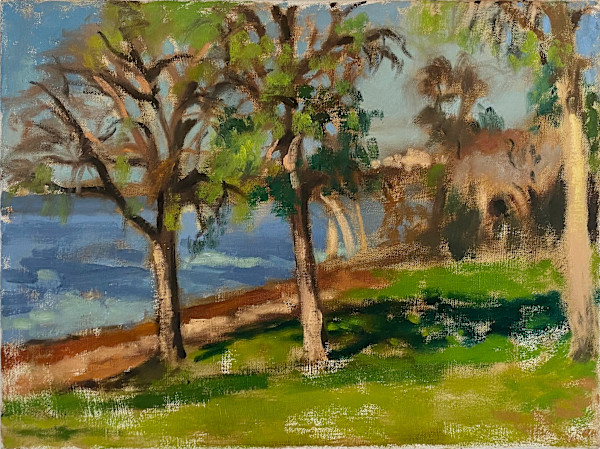 View from Lake Waco by Sean Oswald