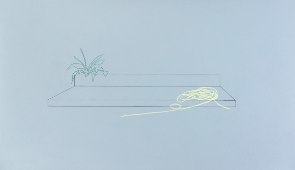 Step, Plant and Hose
