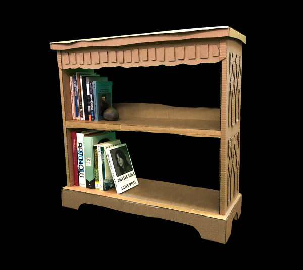 Cardboard Bookshelf