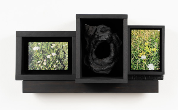 So The Grass Seemed to Weep