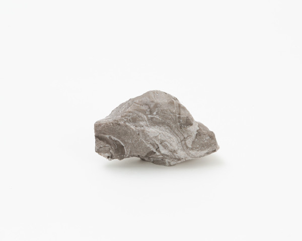 Fragment (3)
