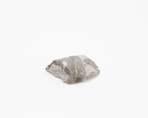 Fragment (5)