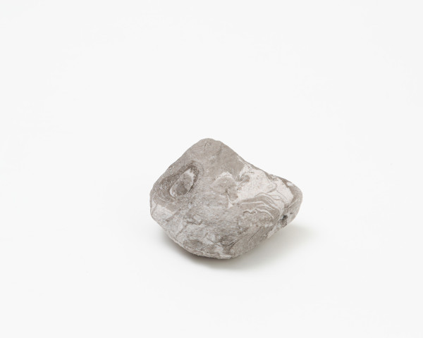 Fragment (1)