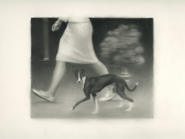 Dog Show