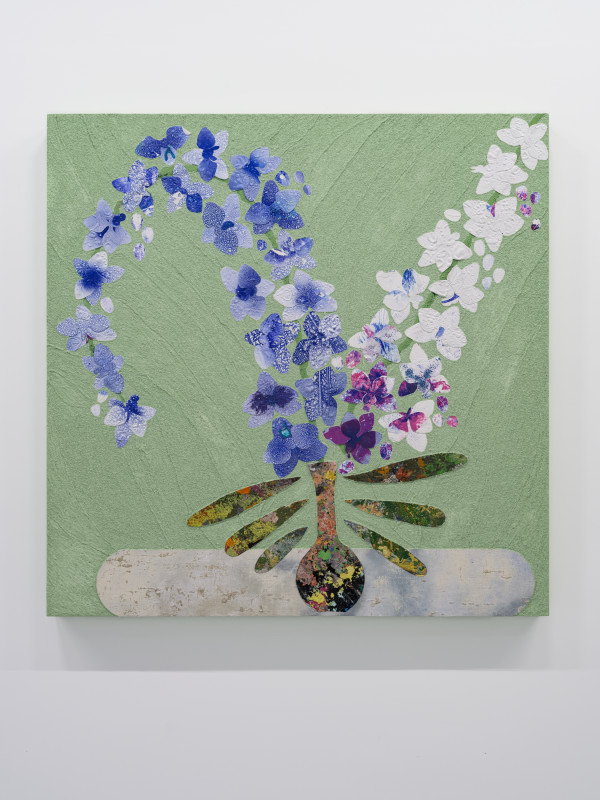 Orchids