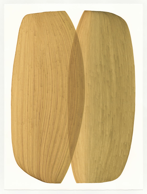 Lines 260
