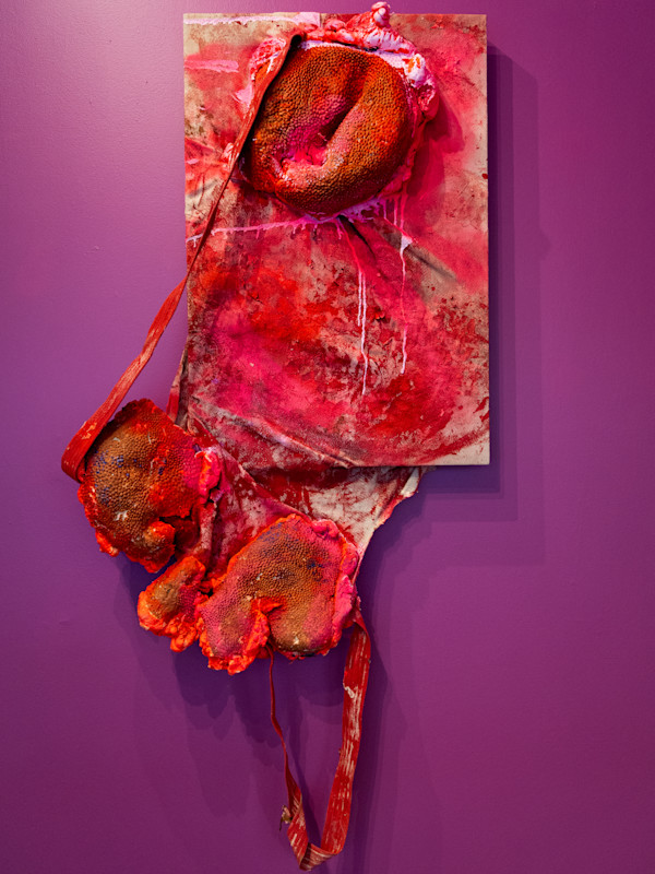 Pulpa Mordida, Carne Fecunda (fresh chewed pulp flesh) by Coralina Rodriguez Meyer